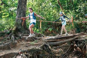 BIB: 
                            <button type="button" onclick="openModal(27558592)" class="btn btn-primary btn-sm float-right btn-popup" data-toggle="modal" data-target=".modal-high-quality">
                        <i class="fas fa-shopping-cart"></i> Add to Cart
                    </button>
                                            <button type="button" onclick="isThisMe(27558592, true)" class="btn btn-success btn-sm float-right btn-popup btn-isme hidden" data-toggle="tooltip" data-placement="bottom" title="นี่คือรูปของคุณใช่ไหม คลิกที่นี่เพื่อเอาเข้าอัลบั้ม">
                        <i class="fas fa-plus"></i> Add to album
                    </button>
                    <button type="button" onclick="isThisMe(27558592, false)" class="btn btn-warning btn-sm float-right btn-popup btn-isnotme hidden">
                        <i class="fas fa-ban"></i> Remove from album
                    </button>